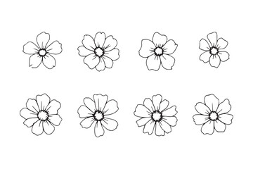 Set of 6 pec in two row Cineraria line art on white background