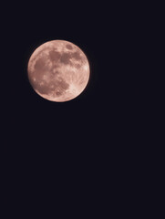 Stunning Close-Up of a Pink Full Moon Illuminating the Dark Sky, Capturing the Beauty of Nighttime Celestial Wonders in Astrophotography