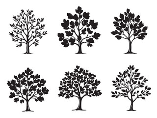 Fig tree clear vision simple black line art on white background
