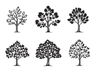 Fig tree clear vision simple black line art on white background