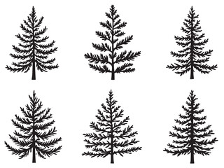 Fir tree clear vision simple black line art on white background