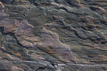 Close-up texture of a layered, dark gray metamorphic rock surface.