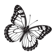 Butterfly line art vector illustration butterfly flying on the air vector silhouette White Background.