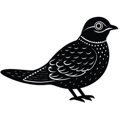 nightjar vector