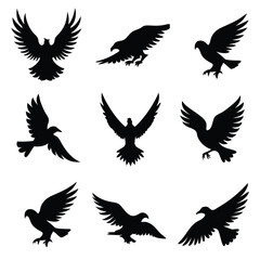 Obraz premium set of silhouettes of birds