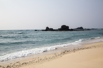 奄美大島の自然、珊瑚礁の島、