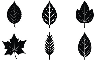 Fototapeta premium leaves Silhouettes vector set with various trees and foliage, ideal for nature and seasonal design