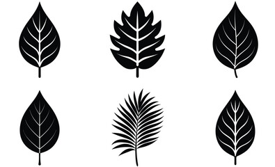 leaves Silhouettes vector set with various trees and foliage including Azalea, Hibiscus, Frangipani, Oleander, Pine, Spruce leaf, ideal for nature and seasonal design