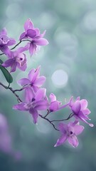 close up of lavender