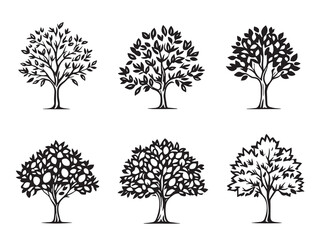 Obraz premium Mango Tree Line Art Illustration
