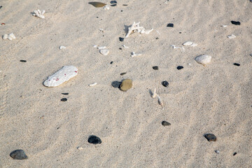 奄美大島の自然、珊瑚礁の島、珊瑚砂、ビーチ。