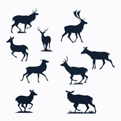 Fototapeta premium wild animals silhouette