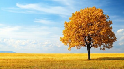 A golden autumn tree stands tall in a vast field.