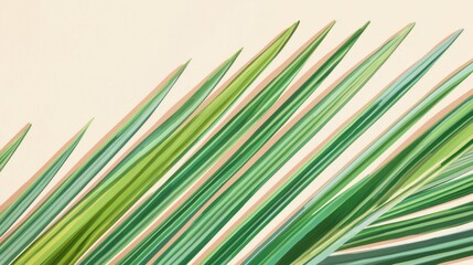 Obraz premium Green Tropical Palm Leaf Against Soft Neutral Background