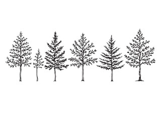 Obraz premium Petronas Towers Black White Sketch