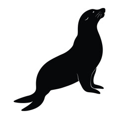 black sea lion