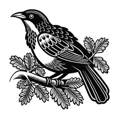 vector illustration of a bird