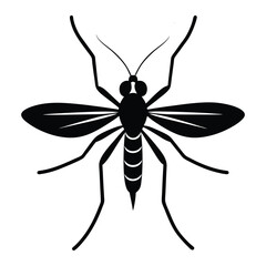 mosquito dengue vector illustration.