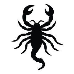 scorpion silhouette white background.