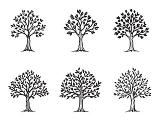 Sago Palm Tree Simple Outline Drawing