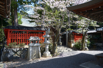三宅八幡宮　本殿　京都市左京区