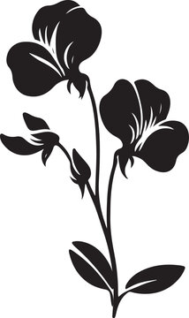 black sweet pea flowers silhouette clip art preview