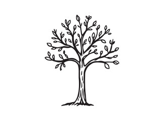 Sandalwood Tree Botanical Line Drawing Set