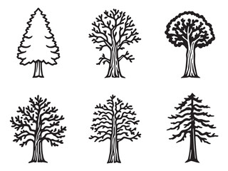 Sequoia Tree Simple Nature Drawing Bundle