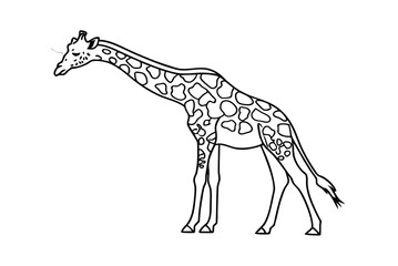 Standing Giraffe Outline Vector Illustration For Coloring Pages And Graphic Design