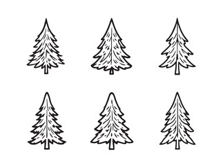 Spruce Tree Fine Outline Nature Illustration
