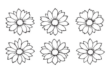 Set of 6 pec in two row  Edelweiss line art on white background
