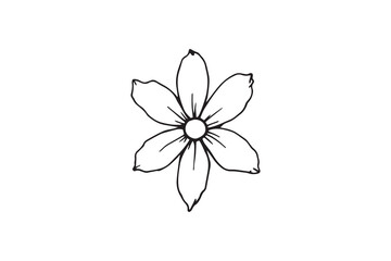 Set of 6 pec in two row  Edelweiss line art on white background