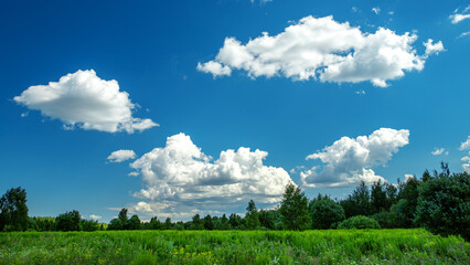 Obraz premium Summer landscape with blue sky in soft white clouds over green field of grass. Beautiful natural countryside. Nature rural scene with copy space for design