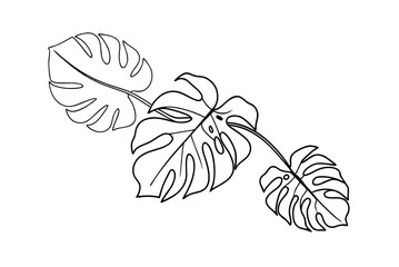 Minimalist Monstera Leaf Outline Design Elegant Botanical Vector Illustration © Chaya