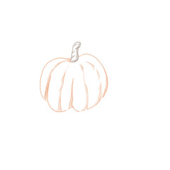 pumpkin isolated on white background