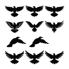 Obraz premium Black vector silhouette of flying bird wings, a set of nature's flight icons