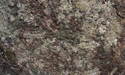 The surface of rocks with mold and lichen. Wethered rock texture