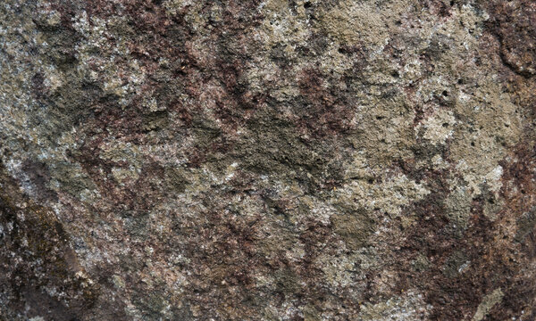 The surface of rocks with mold and lichen. Wethered rock texture - Powered by Adobe