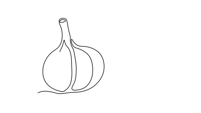 Abstract garlic head and clove, Self drawing animation one continuous line draw, logo