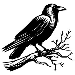 Crow on Branches Illustration.