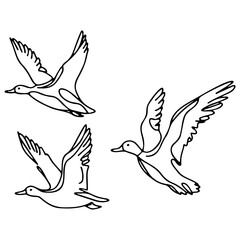 Wild Ducks Flying Line Art.