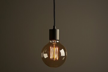 An electric lamp lighting in a modern and vintage style, interior ceiling hanging bulb decor