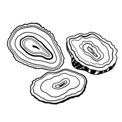 Natural Agate Coasters isolated on white, a metallic set of circle objects