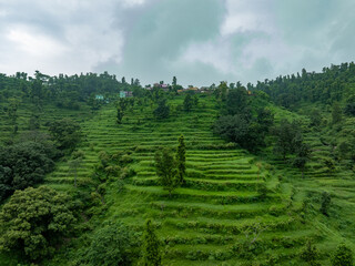 Aerial view of terrace farming on lush green mountains. Scenic agricultural landscape with stepped...
