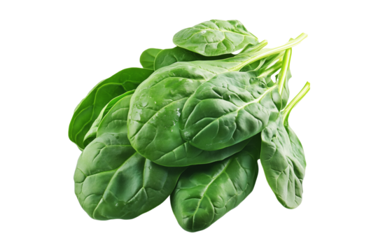 Vibrant baby spinach leaves isolated on white transparent background. Perfect for culinary uses