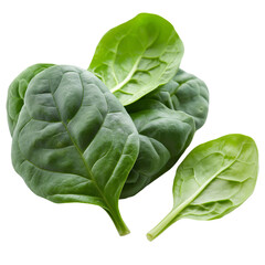 Obraz premium A bunch of green spinach leaves are piled on top of each other