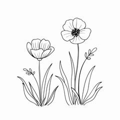 Poppy Flower One-Line Drawing