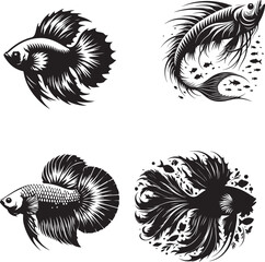 PrintClose-up of fresh Sea Bream against white background