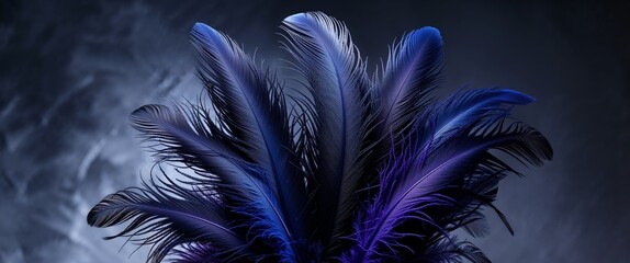 Fototapeta premium Dark Blue Textured Feathers on a Dark Background