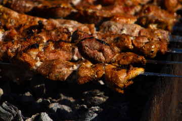 Close-up of Shish Kebab Grilling Over Hot Coals